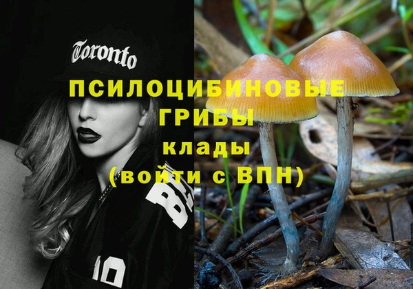 ГАЛЛЮЦИНОГЕННЫЕ ГРИБЫ Белоозёрский