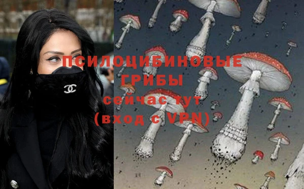 спиды Беломорск