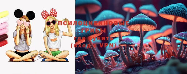 ГАЛЛЮЦИНОГЕННЫЕ ГРИБЫ Белоозёрский